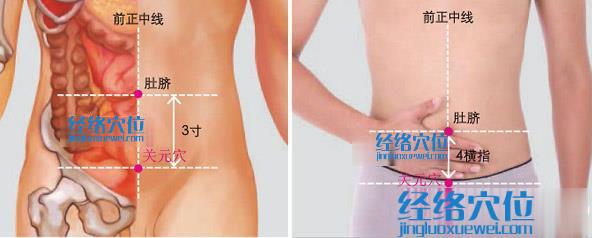 關(guān)元穴