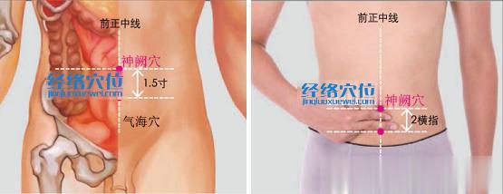 神闕穴