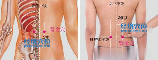 腎俞穴