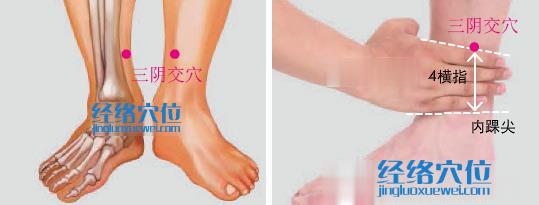 三陰交
