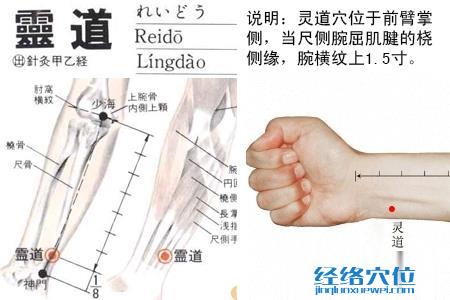 靈道穴位位置圖 靈道穴位位置圖