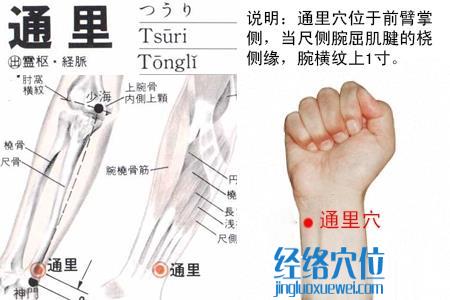 通里穴位位置圖