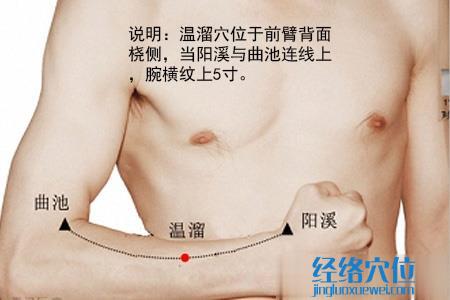 溫溜穴位位置圖 溫溜穴位位置圖