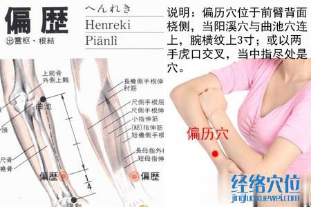 偏歷穴位位置圖 偏歷穴位位置圖