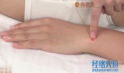 養老穴的準確位置圖