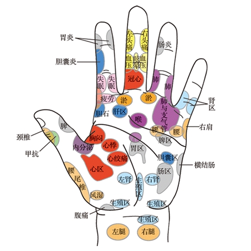 手部反射區(qū)圖 高清