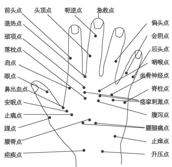 手部穴位圖(手背穴位圖)