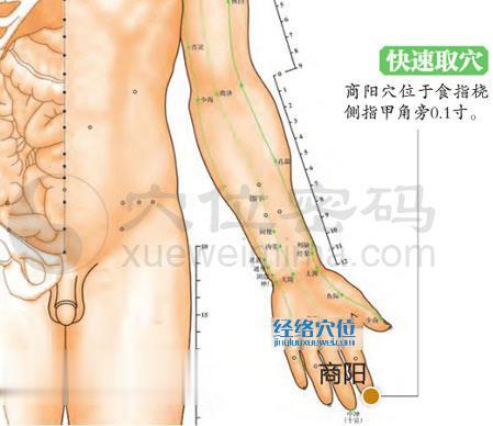 圖解商陽穴