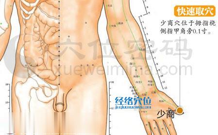 圖解少商穴