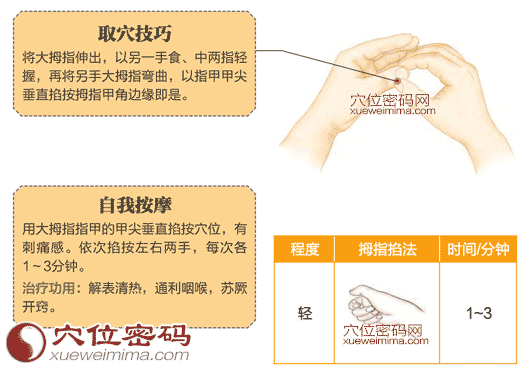 圖解少商穴