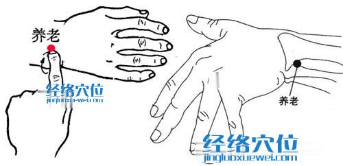養老穴