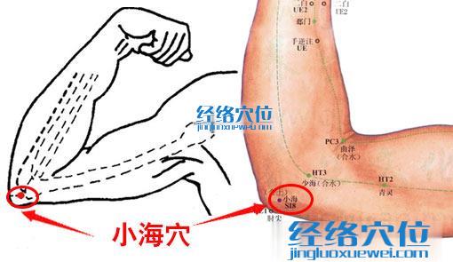 高清圖解小海穴的準確位置圖