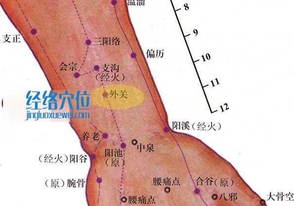 外關穴的位置圖