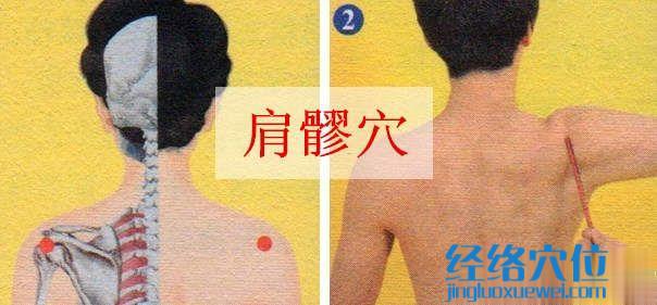 肩髎穴的準確位置圖