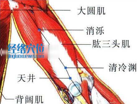 消濼穴的位置圖