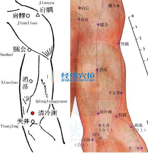 清冷淵穴的位置圖