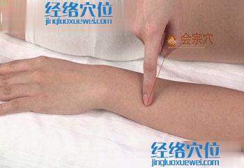 會宗穴位位置圖
