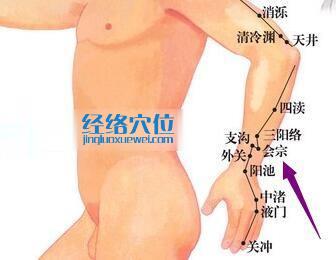 會宗穴位位置圖