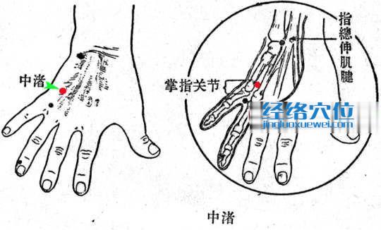 中渚穴的準確位置圖