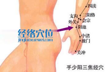 陽池穴位位置圖