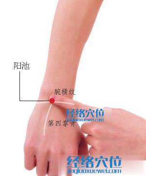 陽池穴位位置圖