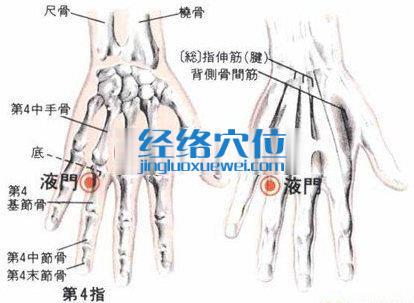 液門穴的位置解剖分析