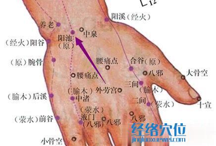 陽池穴的準確位置圖