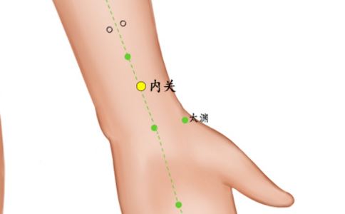 內關穴位的準確位置圖 內關穴位的準確位置 內關穴準確位置圖
