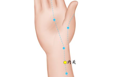 內關穴位的準確位置圖 內關穴位的準確位置 內關穴準確位置圖