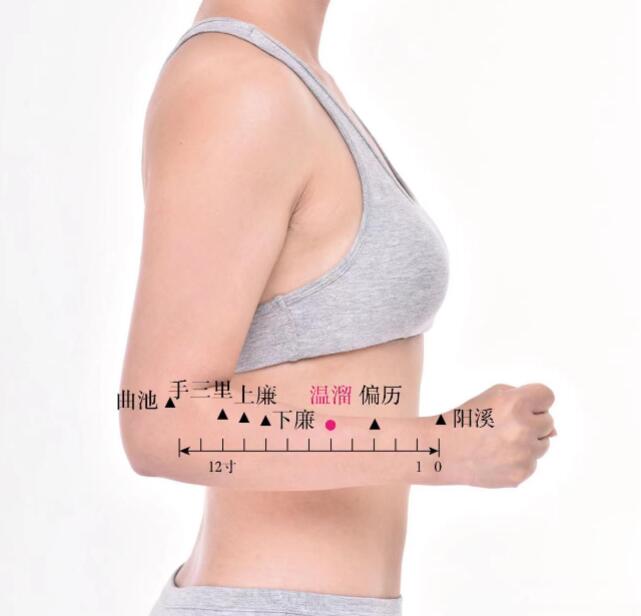 溫溜穴的準(zhǔn)確位置圖及功效視頻位位置圖
