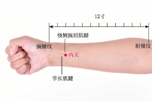 內關的準確位置圖及功效視頻位位置圖