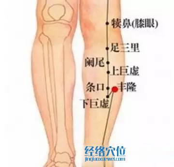 脾俞、豐隆、合谷、足三里、三陰交
