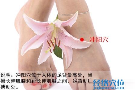 沖陽穴位位置圖