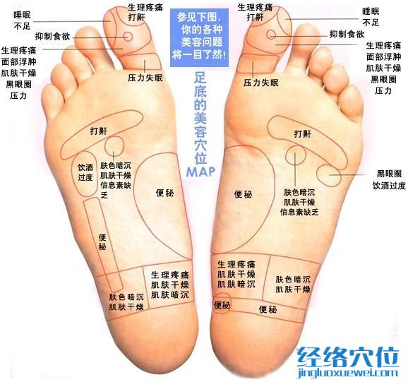 腳底反射區(qū)之足底按摩 美容穴位