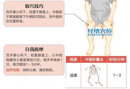 犢鼻穴的準(zhǔn)確位置圖