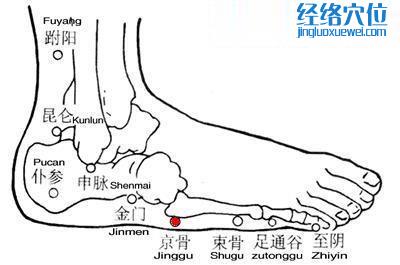 京骨穴的準(zhǔn)確位置圖