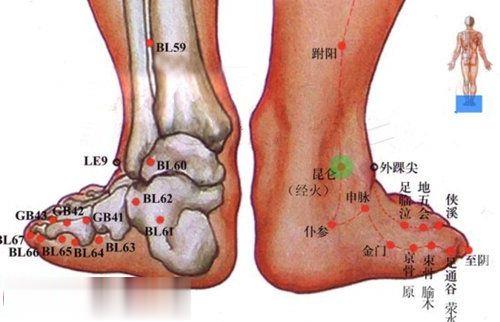 仆參穴的準確位置圖