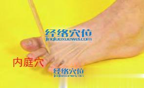內庭穴的位置圖