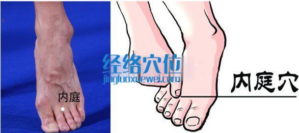 圖解內庭穴的位置