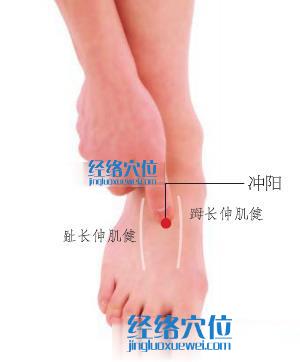 沖陽穴位位置圖
