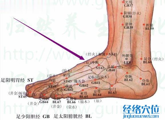 沖陽穴的準確位置圖
