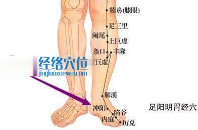圖解沖陽穴位圖