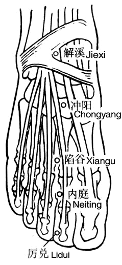 沖陽穴的準確位置圖