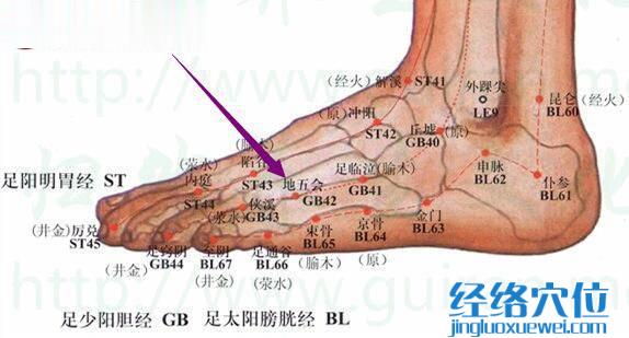 地五會(huì)穴的位置圖