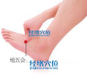 地五會(huì)穴位位置圖