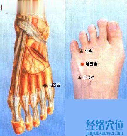 地五會(huì)穴