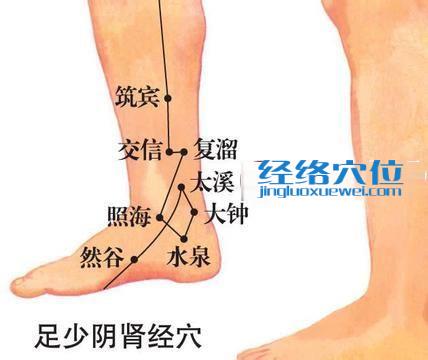 大鐘穴的位置圖
