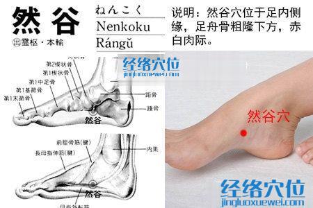 然谷穴的位置解剖分析圖
