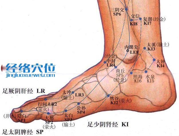 太溪穴的準確位置圖