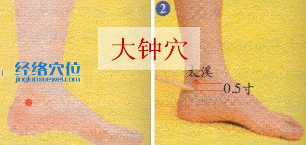 大鐘穴的準確位置圖